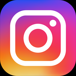 IG logo